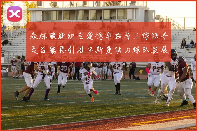 森林狼新组合爱德华兹与三球联手是否能再引进怀斯曼助力球队发展